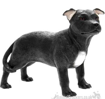 Ornement 'Staffie' Black Staffordshire Bull Terrier de Leonardo, coffret cadeau 1
