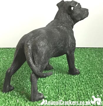 Ornement 'Staffie' Black Staffordshire Bull Terrier de Leonardo, coffret cadeau 5