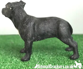 Ornement 'Staffie' Black Staffordshire Bull Terrier de Leonardo, coffret cadeau 6