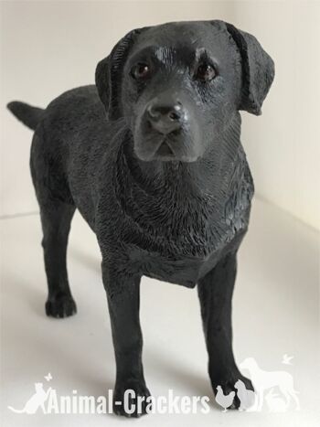 Figurine réaliste de qualité ornement Labrador noir de la gamme Leonardo. Coffret cadeau 1