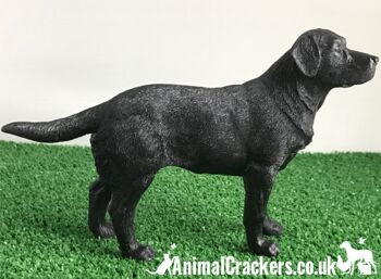 Figurine réaliste de qualité ornement Labrador noir de la gamme Leonardo. Coffret cadeau 3
