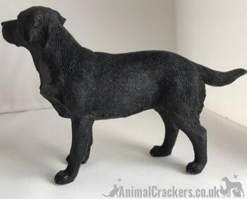 Figurine réaliste de qualité ornement Labrador noir de la gamme Leonardo. Coffret cadeau 4