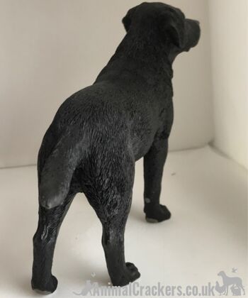 Figurine réaliste de qualité ornement Labrador noir de la gamme Leonardo. Coffret cadeau 5