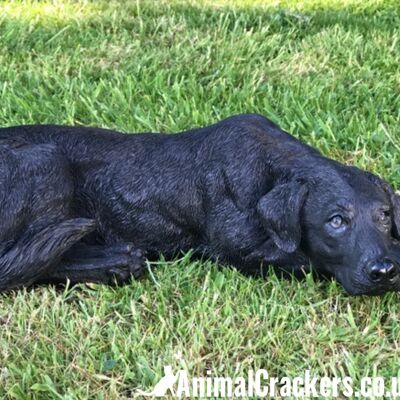 Schwarzer Labrador groß (44 cm) realistisches Gartenornament für drinnen und draußen