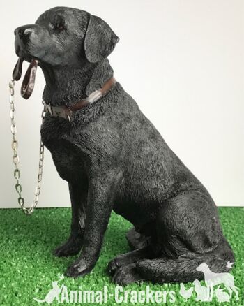 Labrador noir 18cm ornement figurine qualité réaliste gamme Leonardo Coffret cadeau 2