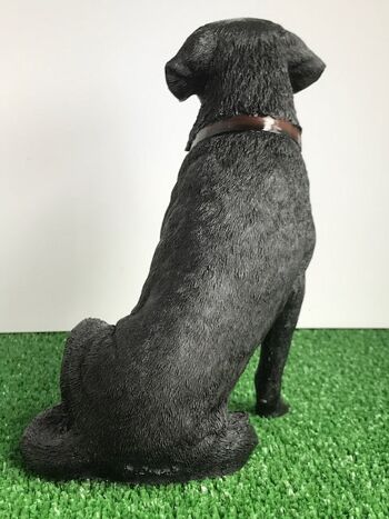Labrador noir 18cm ornement figurine qualité réaliste gamme Leonardo Coffret cadeau 5