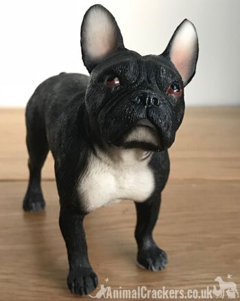 Sculpture de figurine d'ornement bouledogue français noir Frenchie Leonardo, coffret cadeau 2