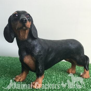 Black & Tan teckel saucisse chien Leonardo réaliste ornement figurine coffret cadeau 1