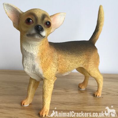 Chihuahua poil court beige figurine ornement réaliste gamme Leonardo Coffret cadeau