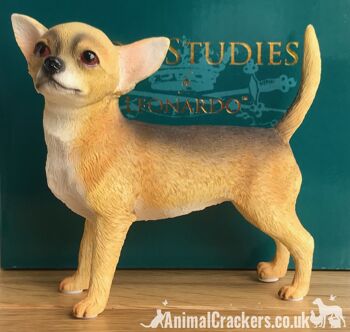 Chihuahua poil court beige figurine ornement réaliste gamme Leonardo Coffret cadeau 2