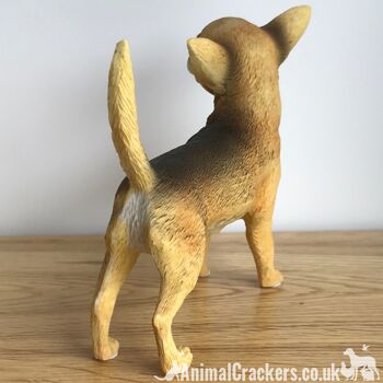 Chihuahua poil court beige figurine ornement réaliste gamme Leonardo Coffret cadeau 3