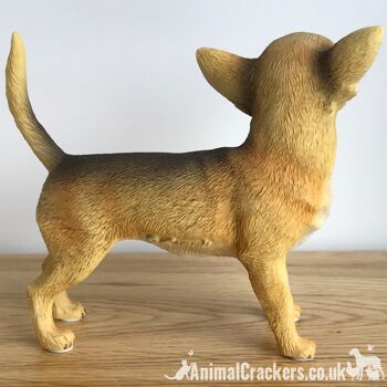 Chihuahua poil court beige figurine ornement réaliste gamme Leonardo Coffret cadeau 4