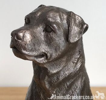 Beauchamp Bronze Rottweiler sculpture ornement figurine statue cadeau à collectionner 2
