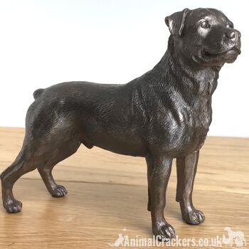 Beauchamp Bronze Rottweiler sculpture ornement figurine statue cadeau à collectionner 3