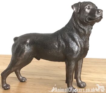 Beauchamp Bronze Rottweiler sculpture ornement figurine statue cadeau à collectionner 4