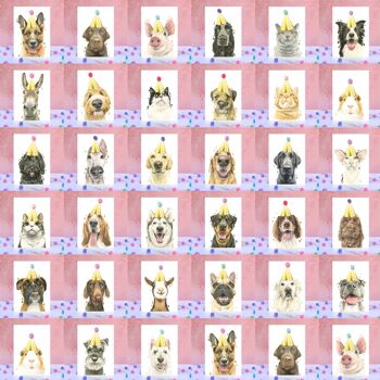 Carte d'anniversaire pompon chien Labrador chocolat 3