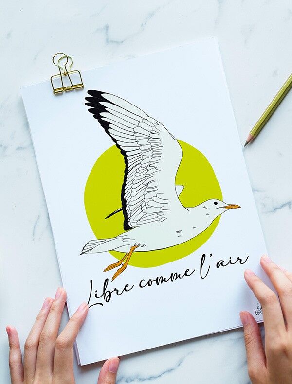 Seagull Postcard - Free as the Air