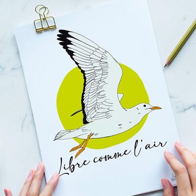 Carte postale mouette Toulon - Libre comme l'air