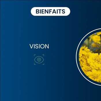 Luteine Zéaxanthine 60 gélules 2