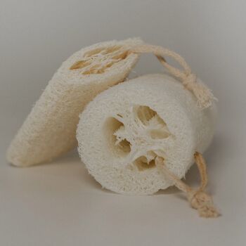 Luffa 2