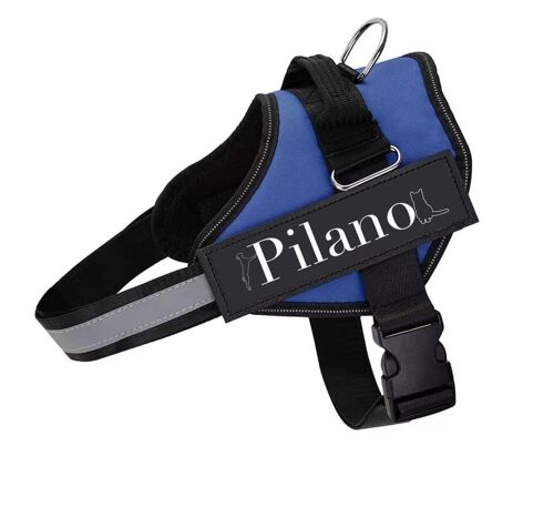 ARNES PILANO AZUL S