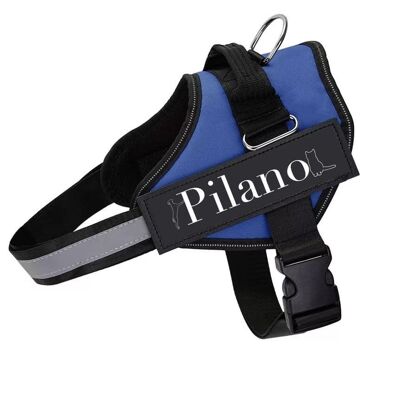 HARNESS PILANO BLUE S