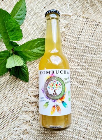 Kombucha artisanal thé vert et jus de menthe poivrée 250ml