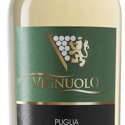 VIGNUOLO, BIANCO IGP PUGLIA