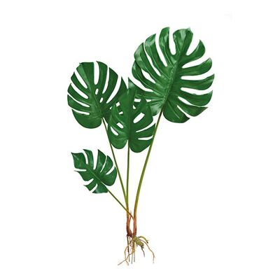 Kunstpflanze Splitphilopflanz Monstera zum Stecken Grün (H) 70cm