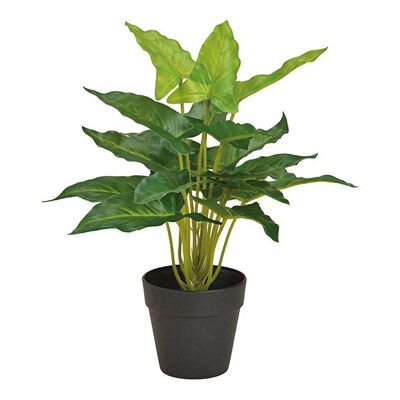 Kunstpflanze Philodendren Grün (H) 30cm