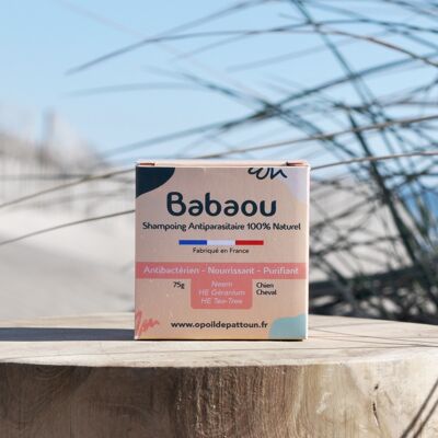 Babaou-Shampoo