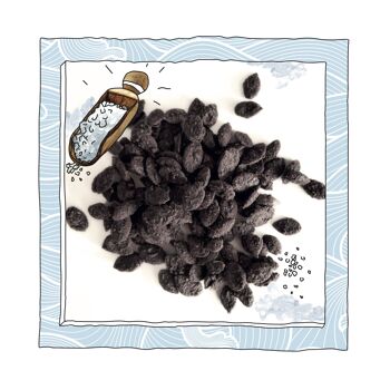 Vrac Graines de Courge Grillées Bio au Chocolat Noir et Fleur de Sel 1kg