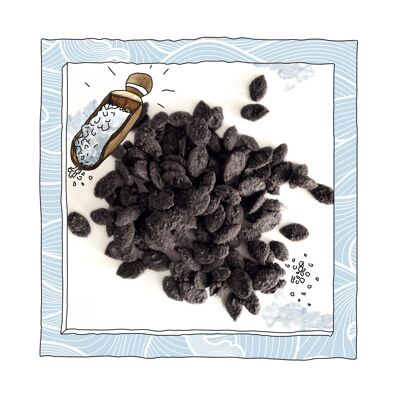Pipas de Calabaza Tostadas Ecológicas a Granel con Chocolate Negro y Flor de Sal 1kg