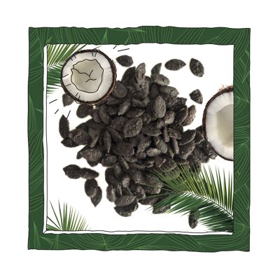 Bulk geröstete Bio-Kürbiskerne mit dunkler Schokolade  und Kokos 1kg
