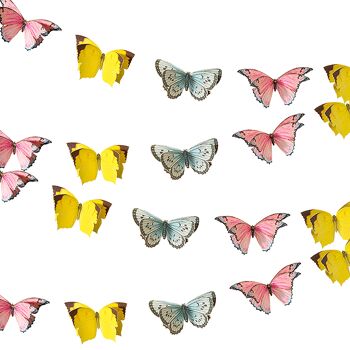Bruant papillon - 2,5 m 6