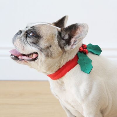 Christmas Holly Dog Accessory