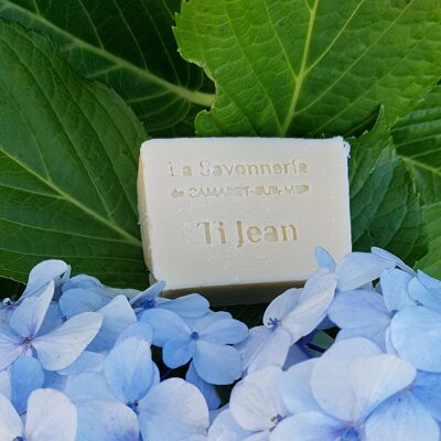 TI JEAN SOAP