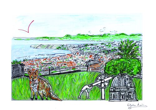 Carte Postale d'Art - Observatoire de Nice