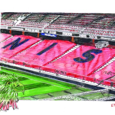 Carte Postale d'Art - Nice - Stade Allianz