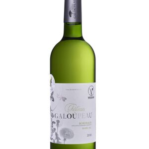 CHATEAU GALOUPEAU BORDEAUX BLANC SEC 2022