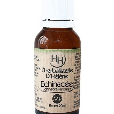 Echinacea, Plant maceration, 20ml