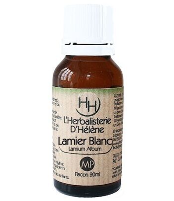 Lamier Blanc, Macération de plantes, 20ml