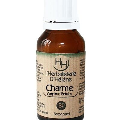 Charme, Bourgeon de plantes, 20ml