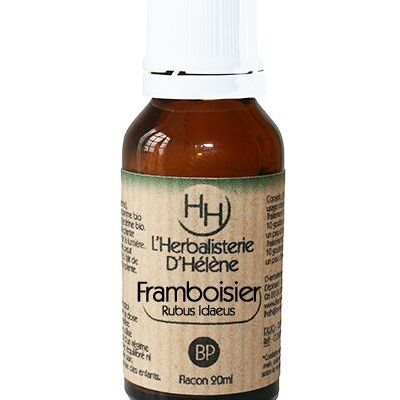 Framboisier, Bourgeon de plantes, 20ml