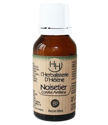 Noisetier, Bourgeon de plantes, 20ml