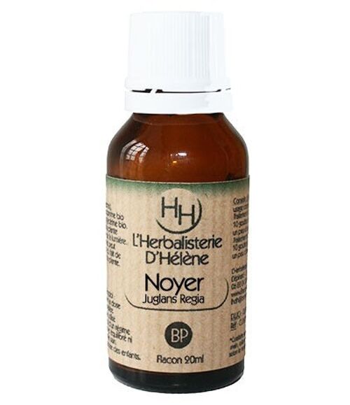 Noyer, Bourgeon de plantes, 20ml