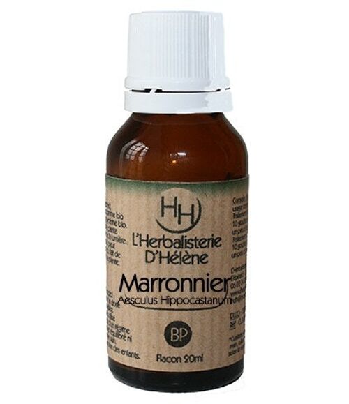 Marronnier, Bourgeon de plantes, 20ml