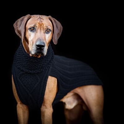 Maglione per cani - Elegante, nero