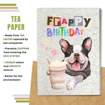 Handmade Eco Friendly Birthday Cards | Sustainable Birthday Cards | Made With Plantable Seed Paper, Banana Paper, Elephant Poo Paper, Coffee Paper, Cotton Paper, Lemongrass Paper and more | Pack of 8 Greeting Cards | Frappy Birthday