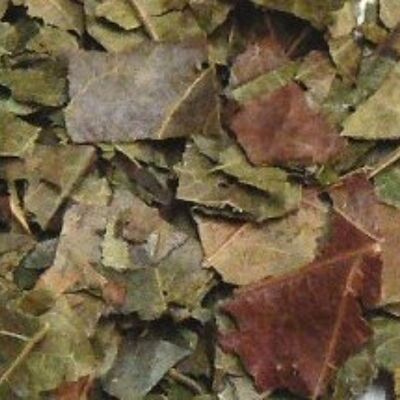 Getrocknete Kinkeliba-Blätter 500g